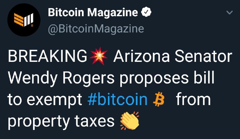 Биткоин аризона. Arizona Senator Wendy Rogers.