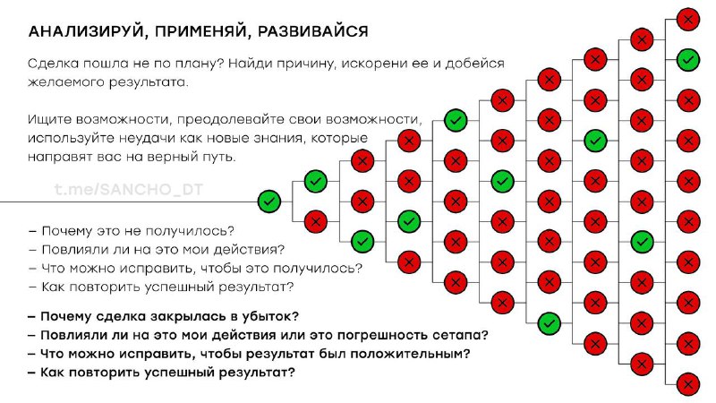 Проанализировав каждый