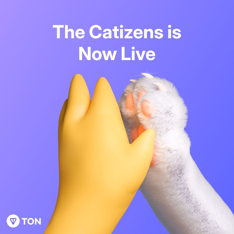 Catizen что за проект. Catizen ton логотип. Catizen проект. Cat Paradise. Catizen картинка.